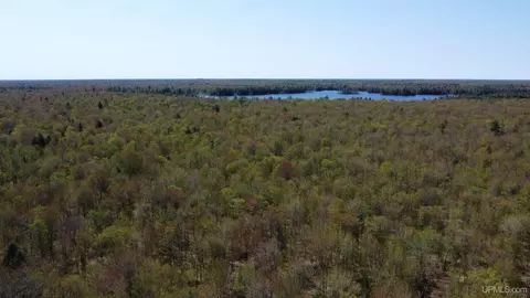 Off Adams Trail, Shingleton, MI 49884 photo 26