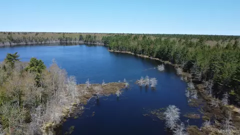 Off Adams Trail, Shingleton, MI 49884 photo 8