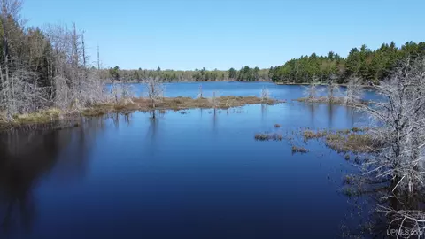 Off Adams Trail, Shingleton, MI 49884 photo 11