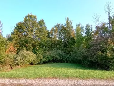lot S 60-61 Huntington, Gladwin, MI 48624