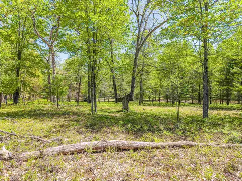 Exterior - 240 Hilts, Gladwin, MI 48624 photo 14 of 18