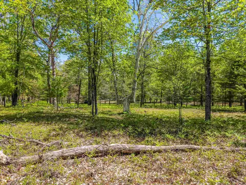 Exterior - 240 Hilts, Gladwin, MI 48624 photo 13 of 18