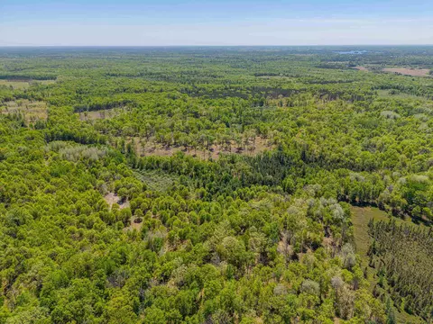 View/Area - 240 Hilts, Gladwin, MI 48624 photo 2 of 8