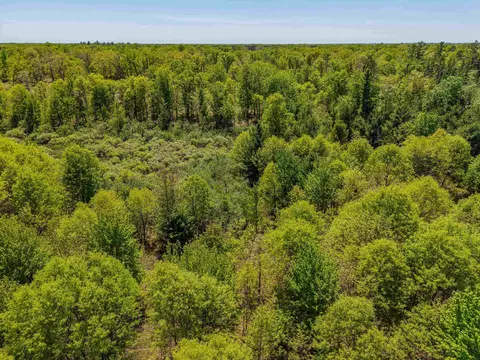 View/Area - 240 Hilts, Gladwin, MI 48624 photo 4 of 8