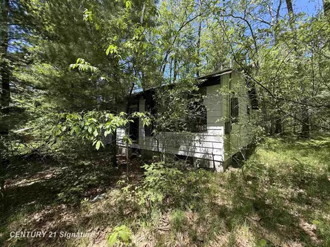 981 E Cranberry Lk, Harrison, MI 48625 photo 9