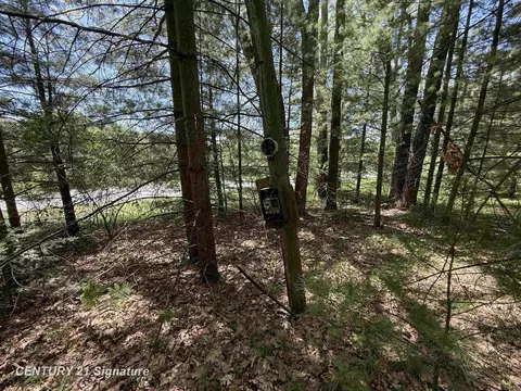 981 E Cranberry Lk, Harrison, MI 48625 photo 4
