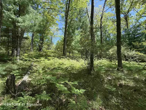 981 E Cranberry Lk, Harrison, MI 48625