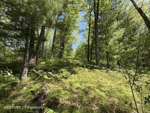 981 E Cranberry Lk, Harrison, MI 48625 photo 2