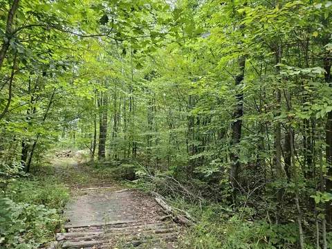 Other - 4985 Wilson, Harrison, MI 48625 photo 1 of 8