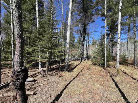tbd Co 424, Crystal Falls, MI 49920