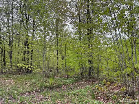 tbd Harborview UNIT 8, Munising, MI 49862 photo 2