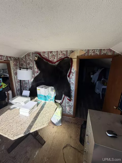 Other - 6980 E Ln, Bark River, MI 49807 photo 31 of 56