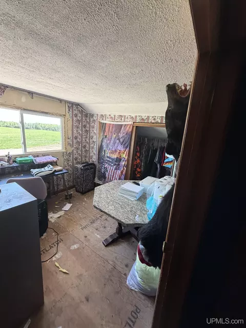 Other - 6980 E Ln, Bark River, MI 49807 photo 9 of 56