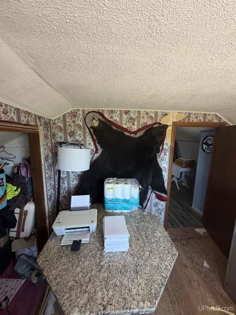 Other - 6980 E Ln, Bark River, MI 49807 photo 11 of 56