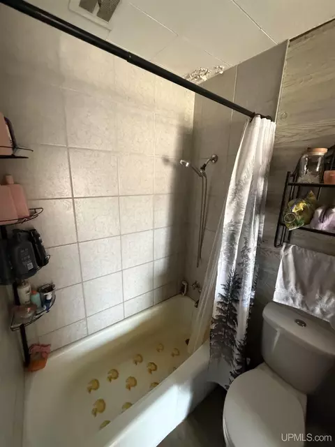 Bath - 6980 E Ln, Bark River, MI 49807 photo 2 of 2