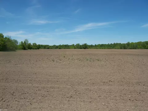 lot4 Lapeer Rd, Kimball, MI 48074