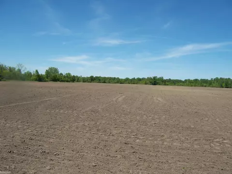 lot5 Lapeer Rd, Kimball, MI 48074