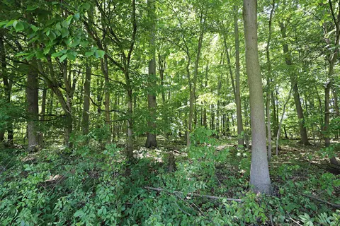 Other - 6285 Chicago, Flushing, MI 48433 photo 7 of 7