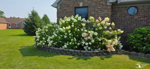 Exterior - 8910 Baldwin, Monroe, MI 48162 photo 6 of 13