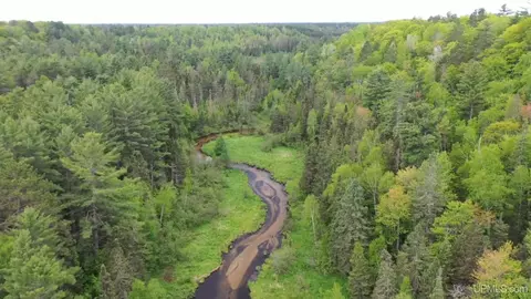 tbd M-94, Skandia, MI 49885