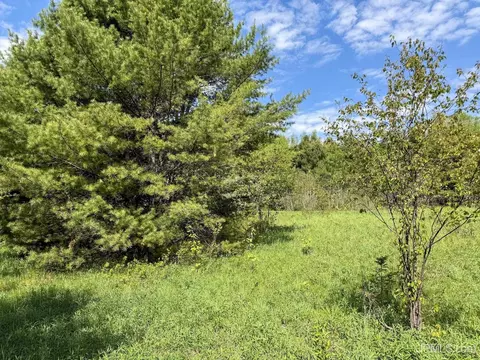 tbd Chipmunk, Lake Linden, MI 49945