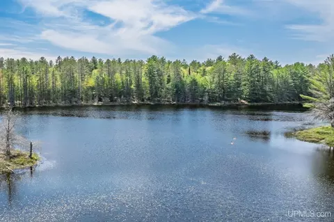 View/Area - 23493 Twist Lk, Watersmeet, MI 49969 photo 2 of 3