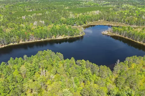 View/Area - 23493 Twist Lk, Watersmeet, MI 49969 photo 1 of 3
