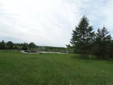 Exterior - 350 Fire, Omer, MI 48766 photo 5 of 6