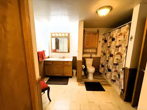 Bath - 16844 Goose Ln, Bergland, MI 49910 photo 1 of 2