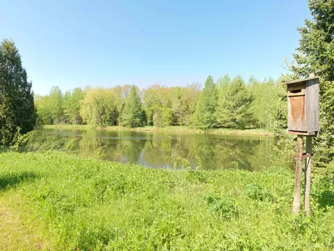 Other - n6355 Alger Heights Road, Munising, MI 49862 photo 8 of 12