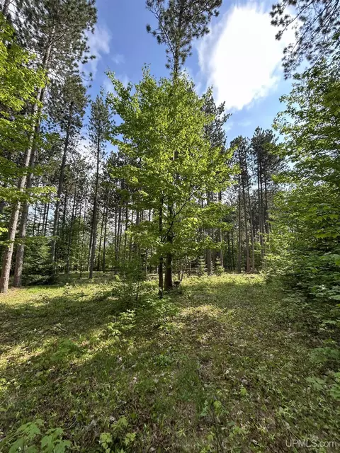 120 Pinton, Marquette, MI 49855