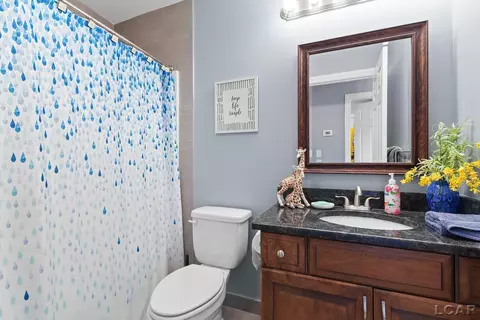 1029 Ridgeview, Tecumseh, MI 49286 photo 22