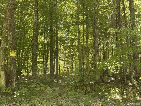 tbd Osborn Dr, Newberry, MI 49868