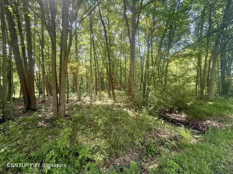 0 Seymour, Burt, MI 48417
