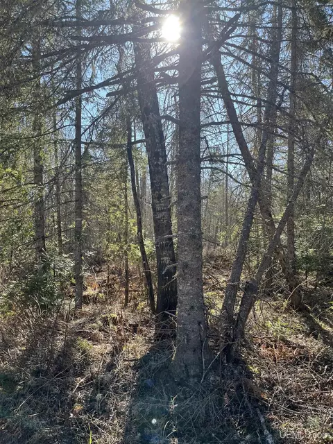 Other - tbd Greenwood Area, Ishpeming, MI 49849 photo 7 of 8
