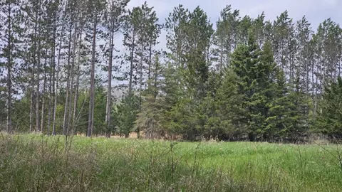 V/l Riverview, Gladwin, MI 48624 photo 9