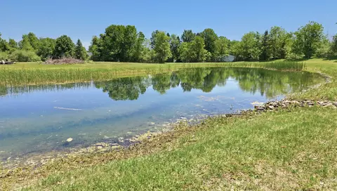 View/Area - 6089 N Seymour, Flushing, MI 48433 photo 6 of 6