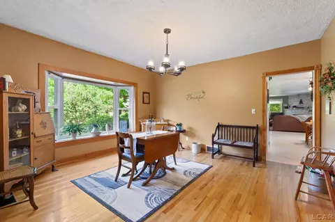807 Conklin, Tecumseh, MI 49286 photo 10