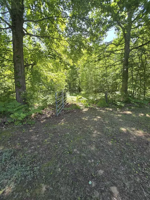 Exterior - 5691 Ormes, Vassar, MI 48768 photo 18 of 19