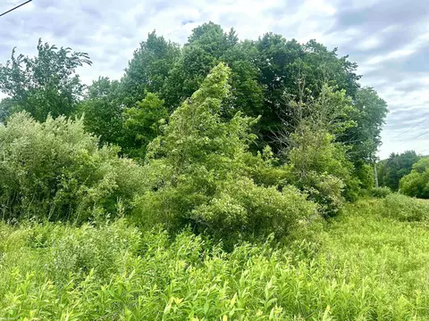 Vl Braidwood Parcel 5, Riley, MI 48041