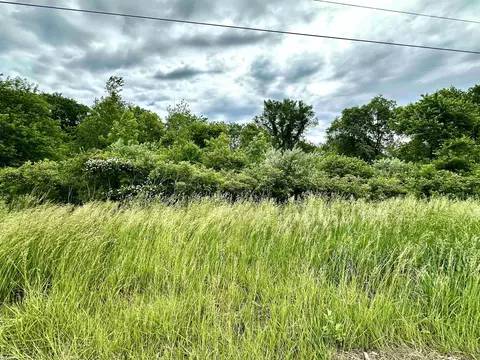 Vl Braidwood Parcel 4, Riley, MI 48041