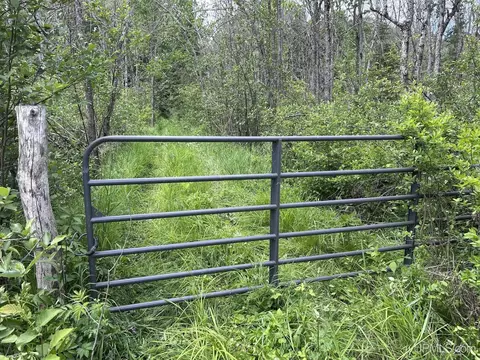 tbd S Geneva, Bessemer, MI 49911