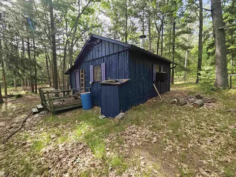 Exterior - 319 Burns, Harrison, MI 48625 photo 7 of 12