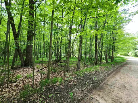 lot1118 White Birch, Farwell, MI 48622