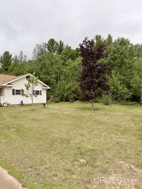 Exterior - 250 Copper, Ishpeming, MI 49849 photo 6 of 6
