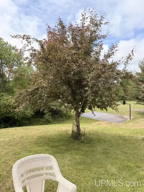 Exterior - 250 Copper, Ishpeming, MI 49849 photo 4 of 6