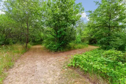 Other - 5340 Sutton, Britton, MI 49229 photo 16 of 18