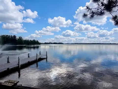 View/Area - 4837 Buxton, Gladwin, MI 48624 photo 4 of 14