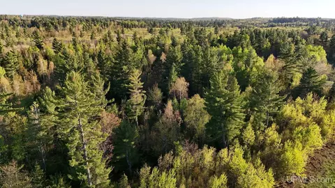 lot12 Carp Crk, Ishpeming, MI 49849 photo 5