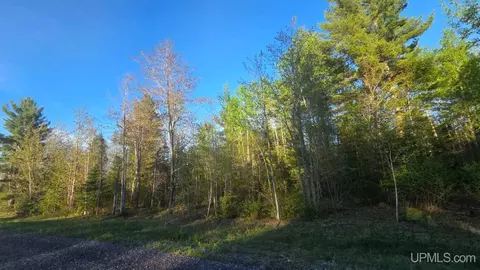 lot12 Carp Crk, Ishpeming, MI 49849 photo 8